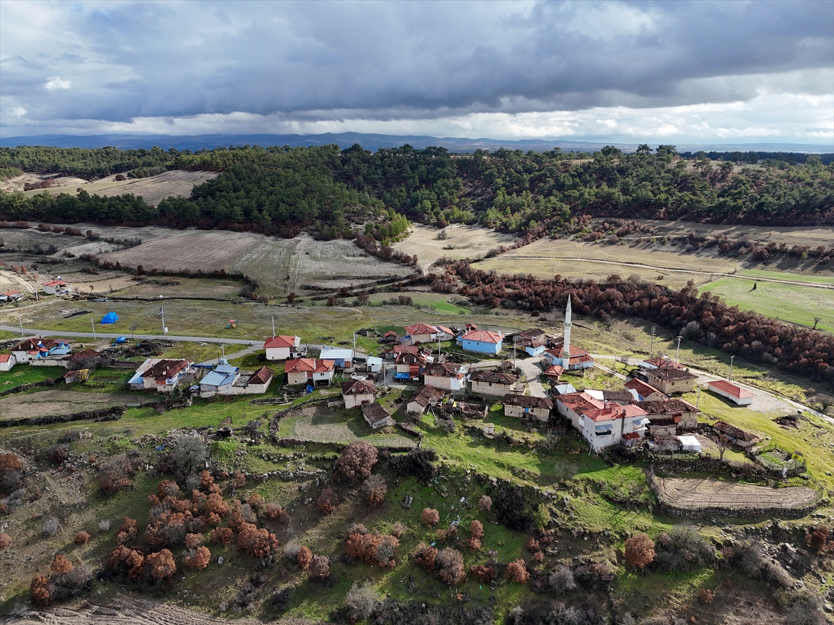 A A 20260130 40408230 40408227 T U R K I Y E D E K O Y S A Y I S I 18 B I N 215 O L A R A K K A Y I T L A R A G E C T I