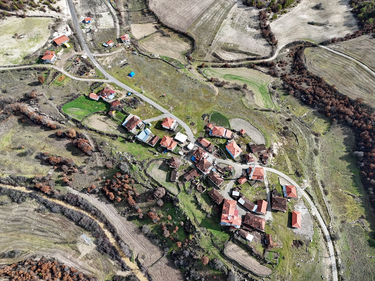 A A 20260130 40408230 40408228 T U R K I Y E D E K O Y S A Y I S I 18 B I N 215 O L A R A K K A Y I T L A R A G E C T I