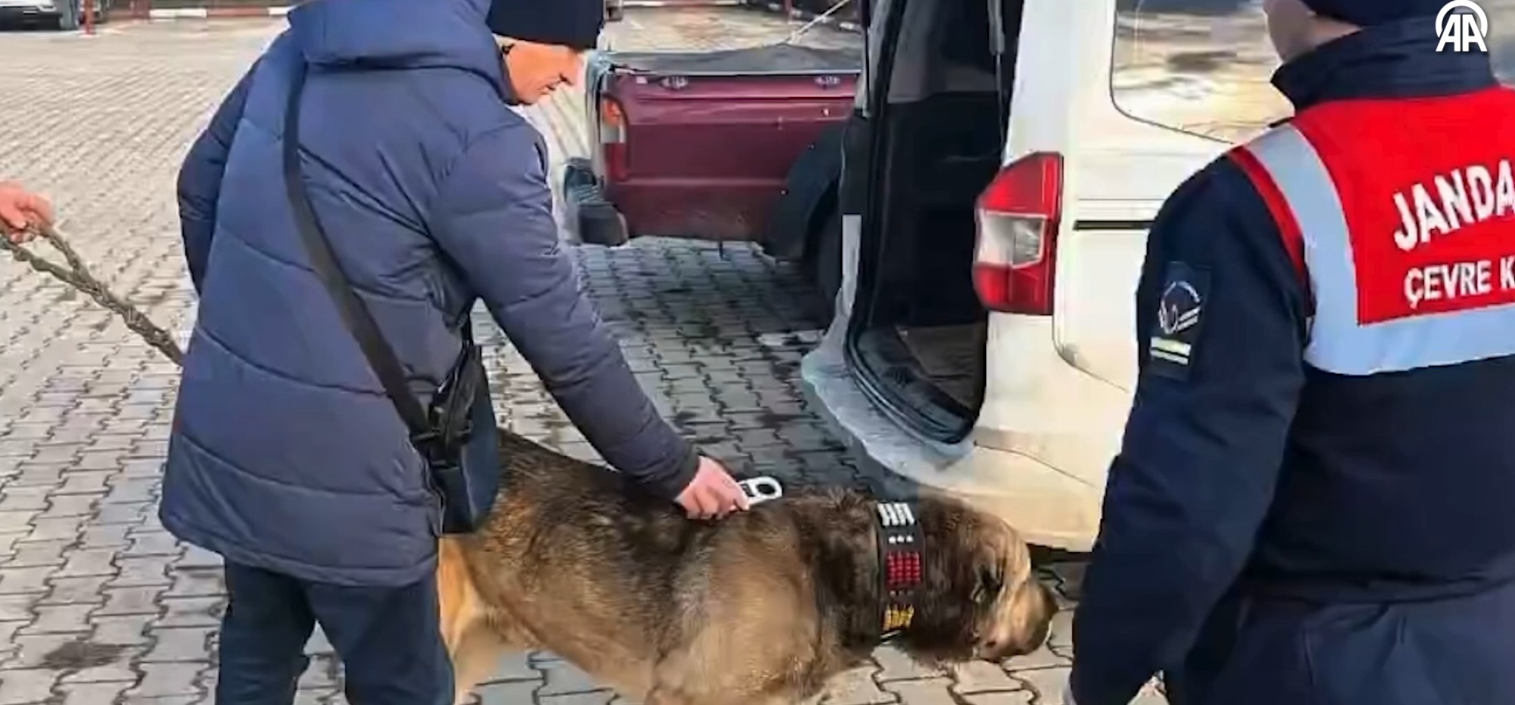 Ekran Görüntüsü 2026 01 21 194209