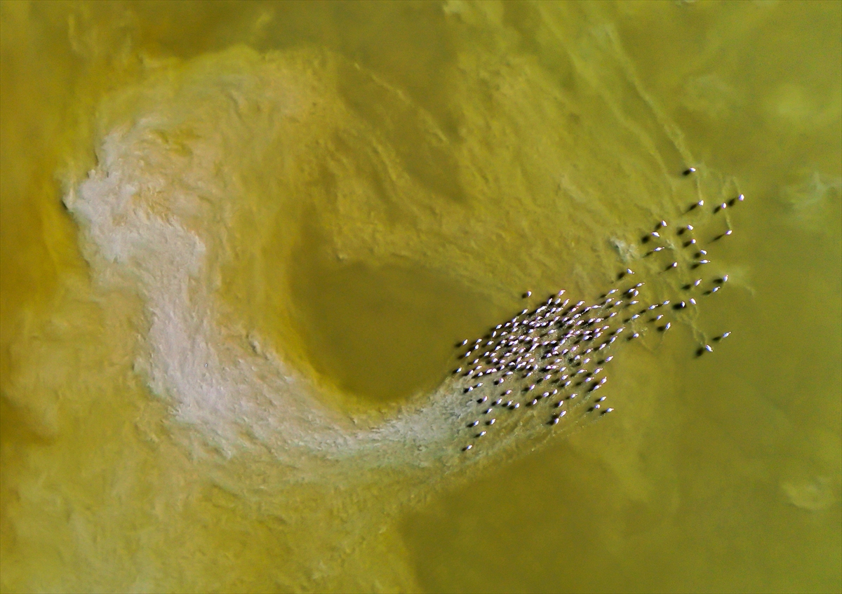 A A 20260201 40424544 40424505 B U Y U K M E N D E R E S D E L T A S I S U L A K A L A N L A R I Y L A Y A B A N H A Y A T I N A C A N V E R I Y O R