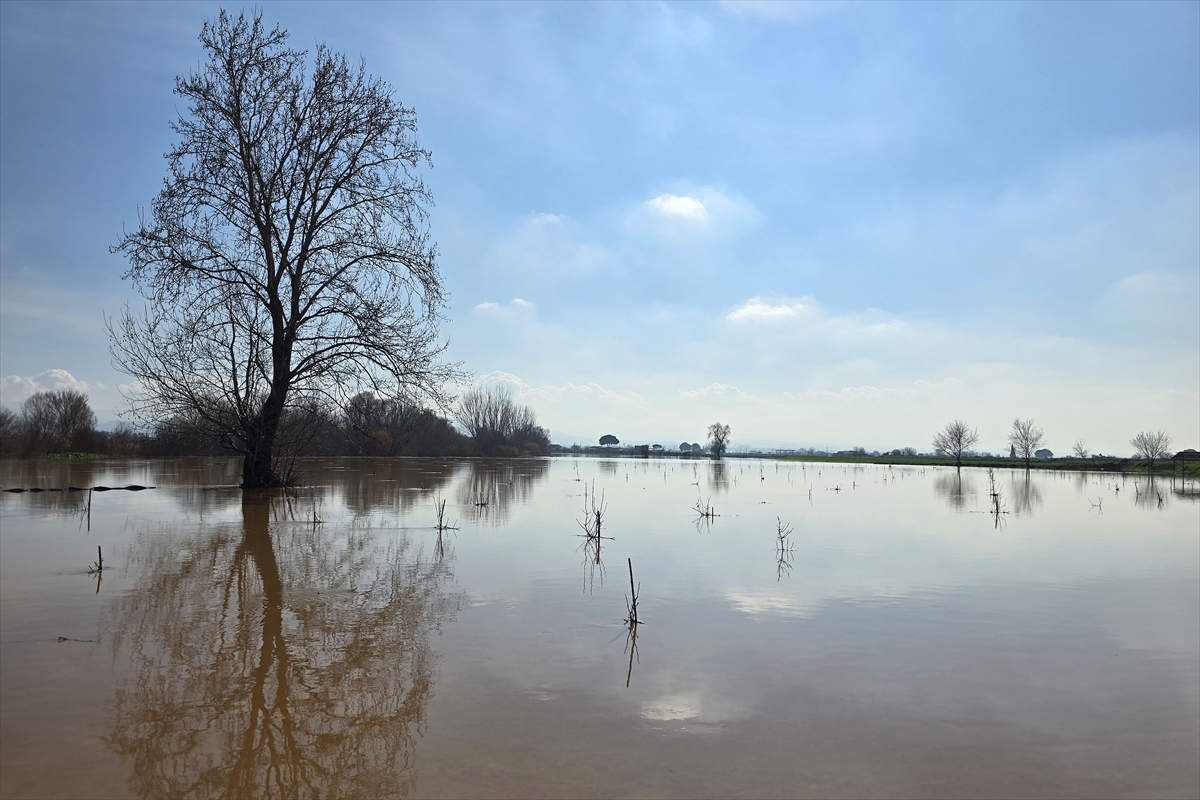 A A 20260203 40448696 40448683 G E D I Z N E H R I N I N T A S M A S I N E D E N I Y L E T U R G U T L U O V A S I N D A B A Z I T A R I M A R A Z I L E R I S U A L T I N D A K A L D I