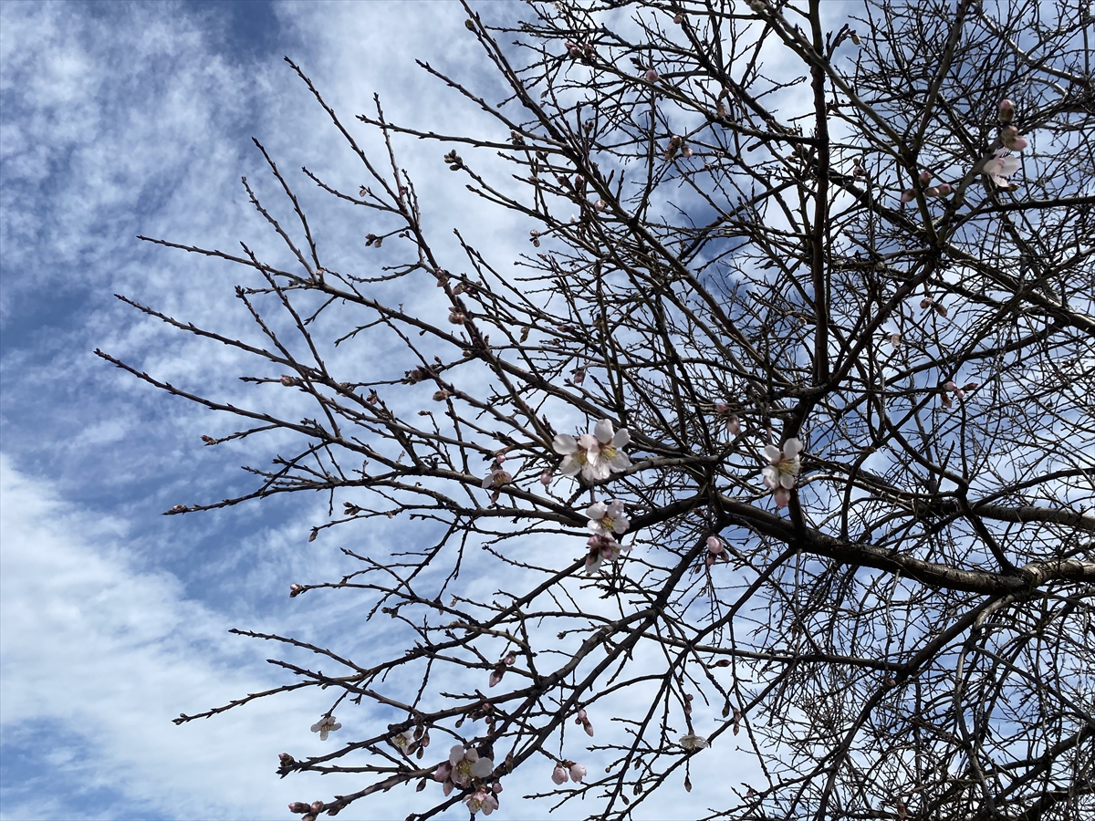 A A 20260216 40570492 40570488 A L A S E H I R D E B A D E M A G A C L A R I S U B A T T A C I C E K A C T I