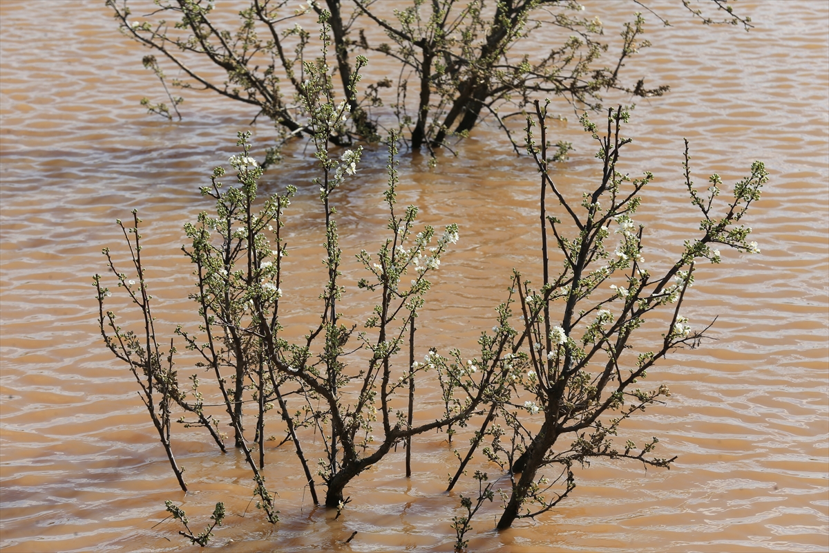 A A 20260221 40629317 40629316 M A N I S A D A S A G A N A K V E F I R T I N A N I N A R D I N D A N H A S A R T E S P I T C A L I S M A L A R I S U R U Y O R