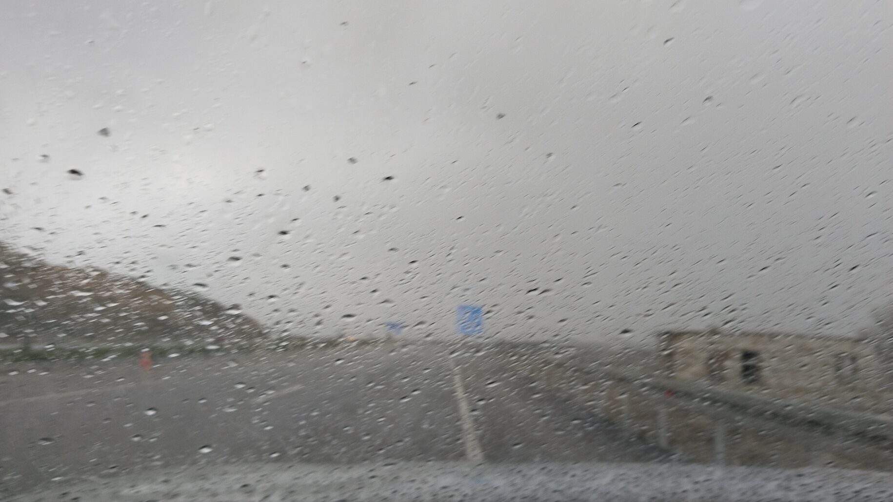 I M G 20260226 160054