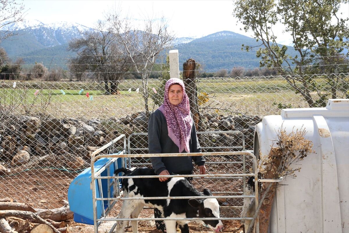 A A 20260308 40764297 40764292 D E N I Z L I D E K A D I N G I R I S I M C I D E V L E T D E S T E G I Y L E H A Y A L E T T I G I C I F T L I G I K U R D U