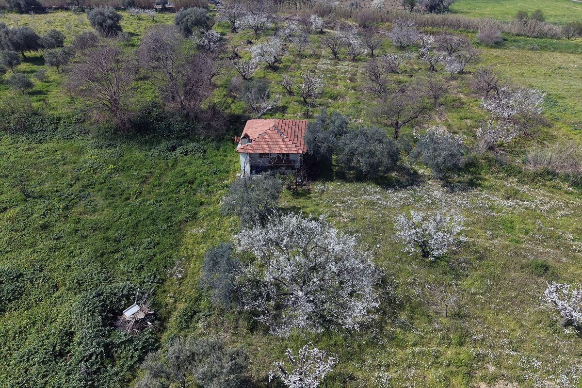 A A 20260316 40837855 40837851 G E D I Z O V A S I N D A K I M E Y V E A G A C L A R I C I C E K A C T I