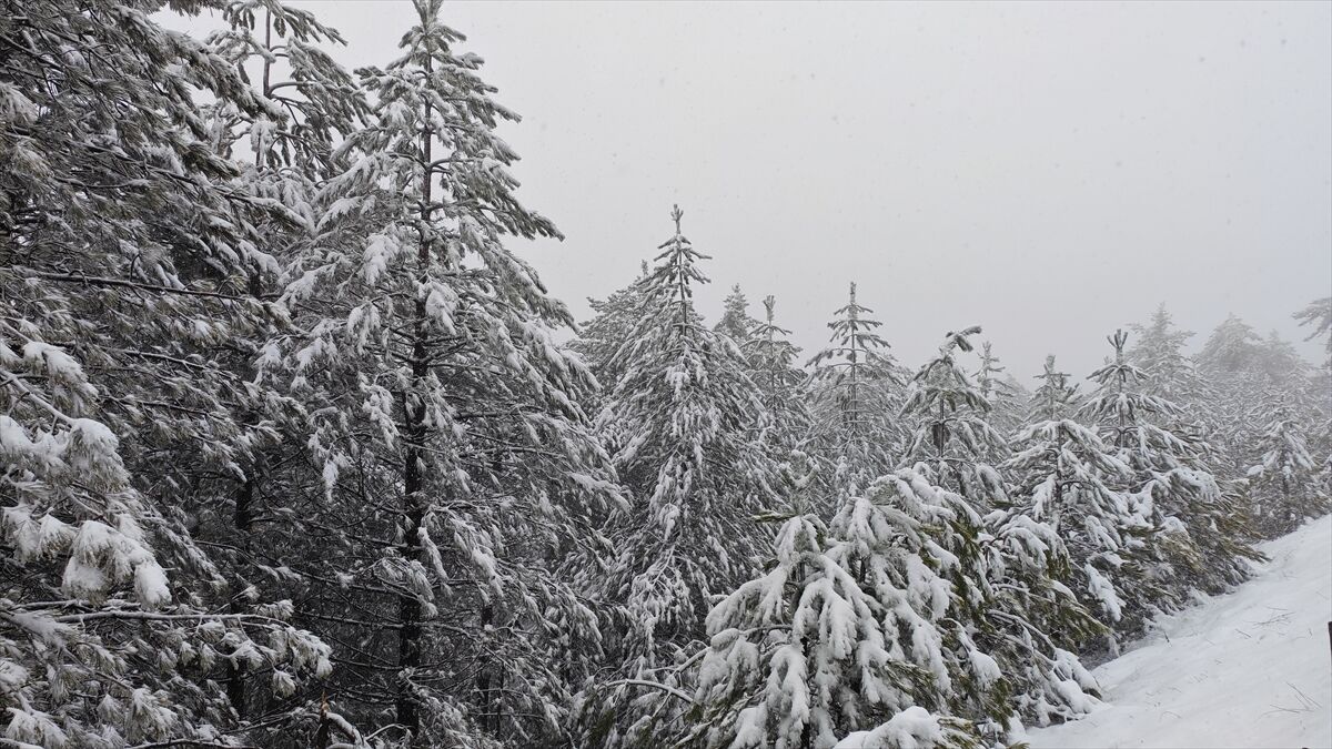 A A 20260329 40959037 40959033 M A N I S A N I N D E M I R C I I L C E S I N D E K A R E T K I L I O L D U