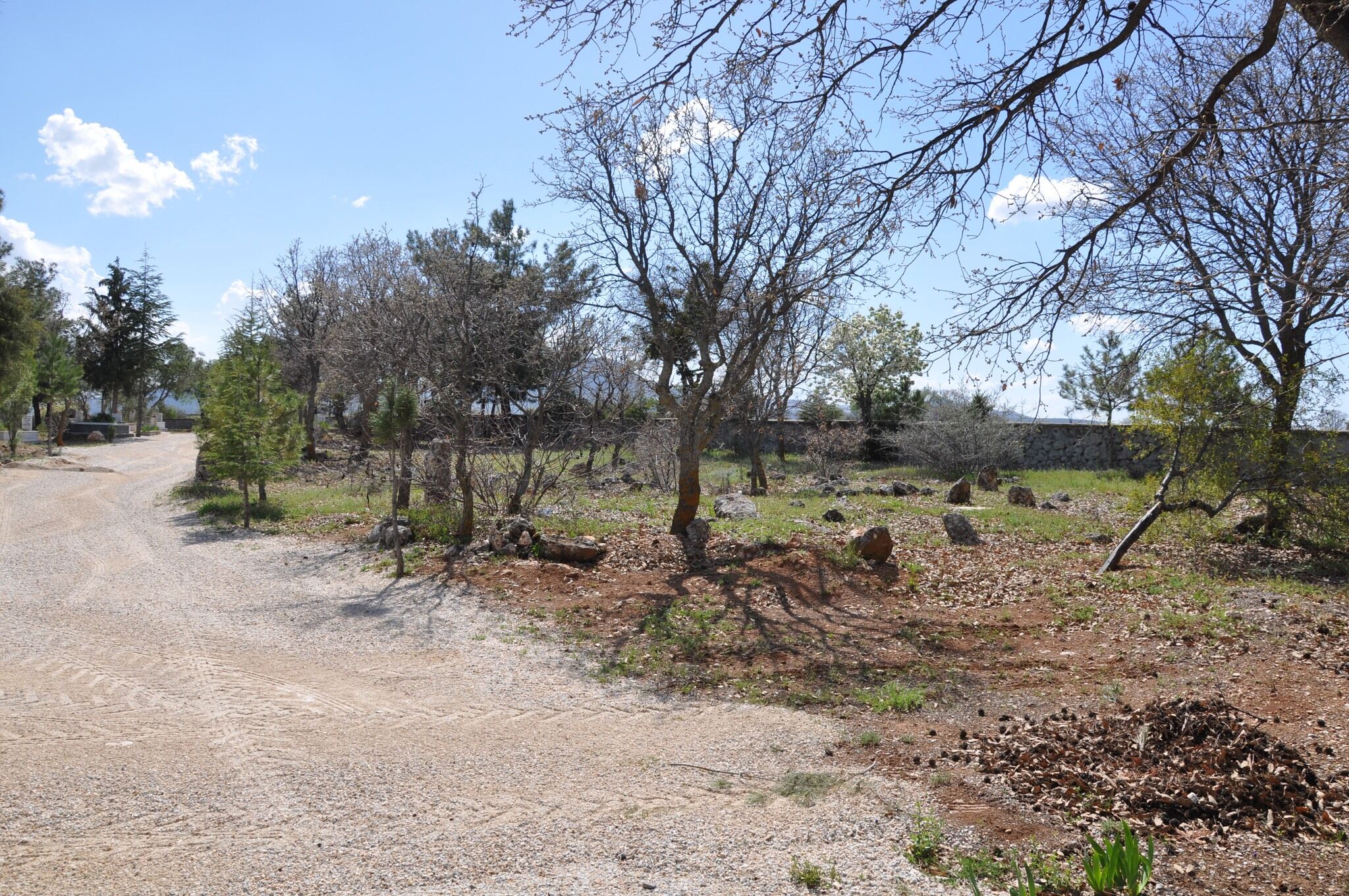 682948897 10225607902303765 8030315969981846526 N