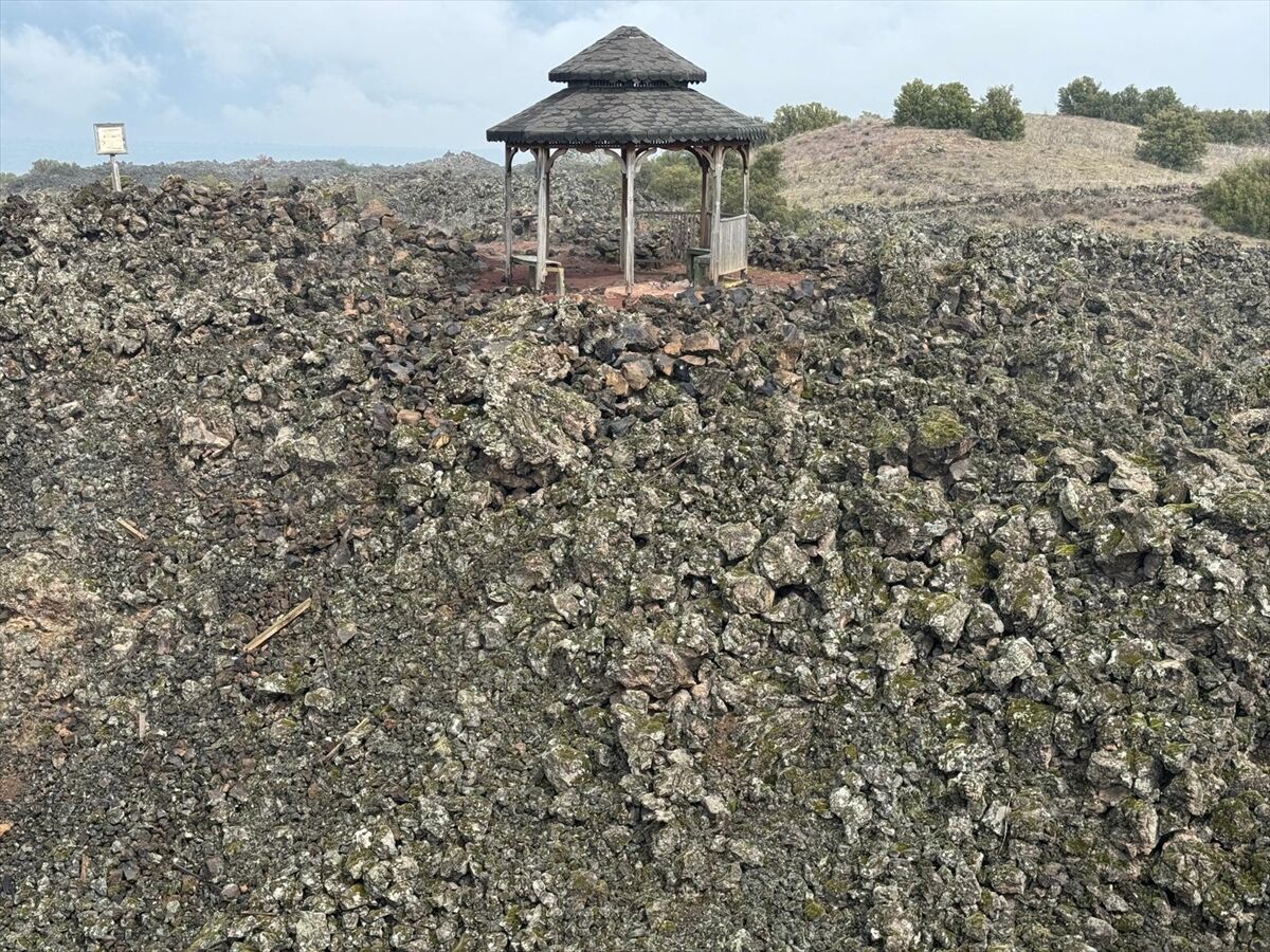 A A 20260416 41121458 41121436 U N E S C O M I R A S L A R I Y L A O N E C I K A N M A N I S A F A R K L I M E D E N I Y E T L E R I N I Z L E R I N I B U G U N E T A S I Y O R