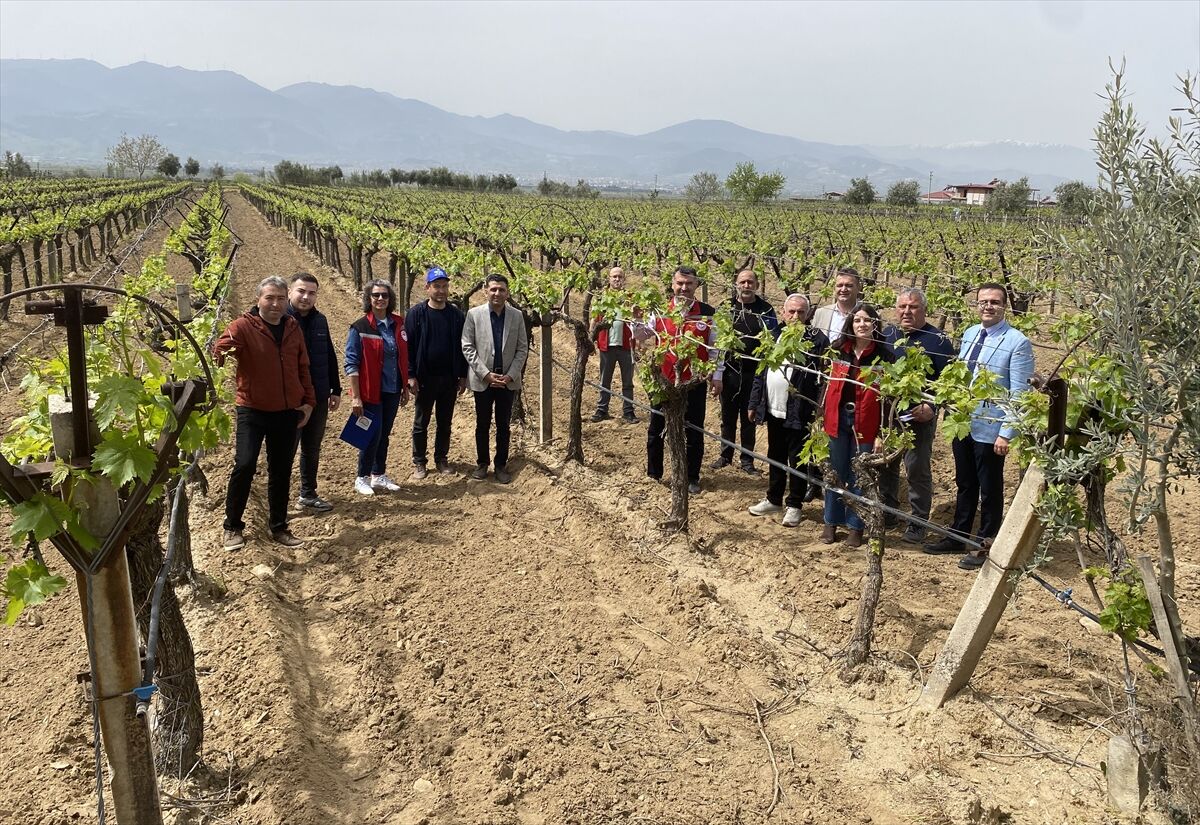 A A 20260422 41179523 41179519 A L A S E H I R D E K O N T R O L L U V E K A L I N T I S I Z B A G C I L I K P R O J E S I B A S L A T I L D I