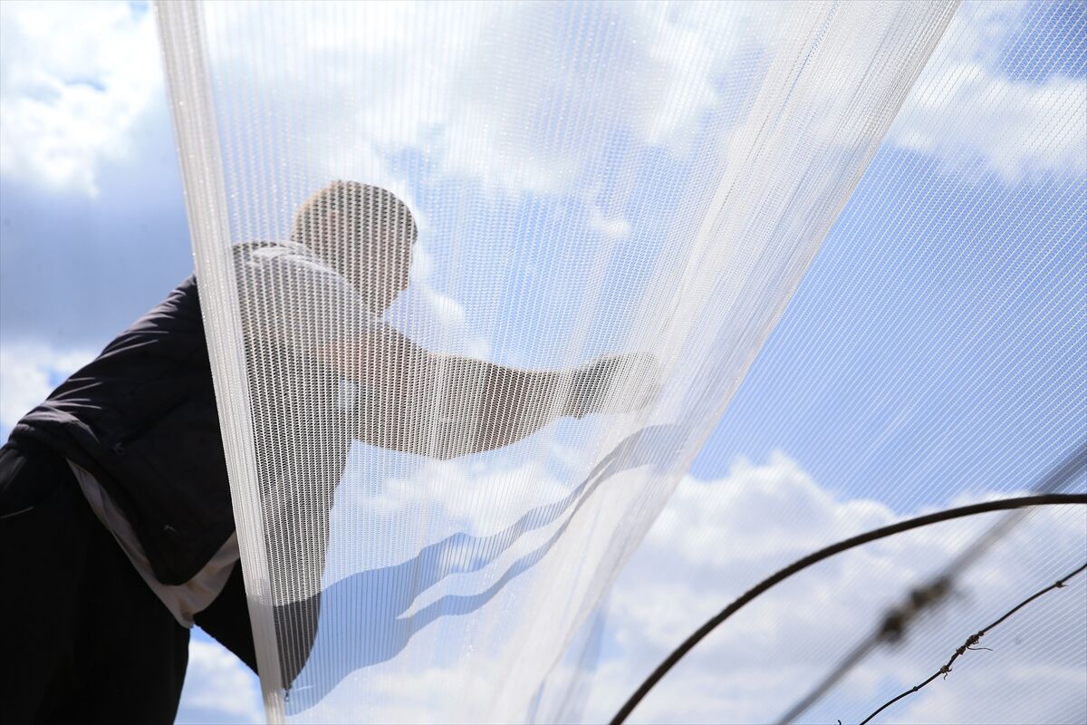 A A 20260425 41205734 41205716 M A N I S A L I U R E T I C I L E R U Z U M B A G L A R I N I D O L U T U L U I L E K O R U Y O R