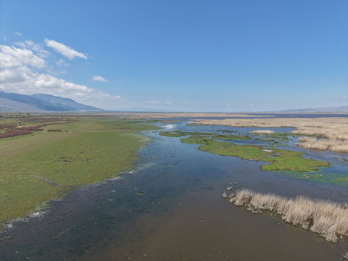 A A 20260426 41213673 41213654 K U R A K L I K R I S K I A L T I N D A K I E B E R G O L U N U N S U S E V I Y E S I U C K A T A R T T I