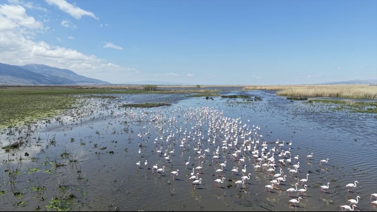 A A 20260426 41213673 41213658 K U R A K L I K R I S K I A L T I N D A K I E B E R G O L U N U N S U S E V I Y E S I U C K A T A R T T I