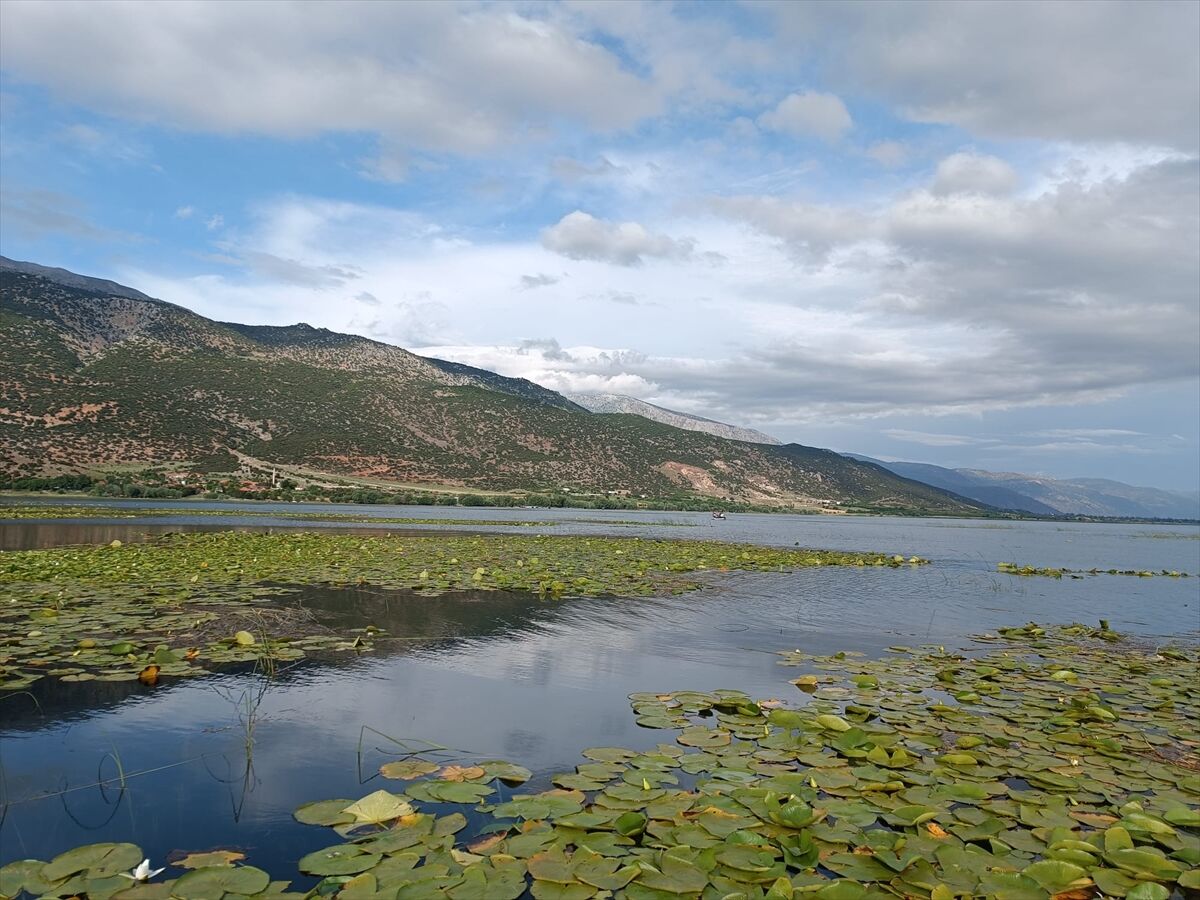 A A 20260427 41223886 41223885 I S I K L I G O L U N D E N I L U F E R C I C E G I T U R L A R I 1 M A Y I S T A B A S L A Y A C A K