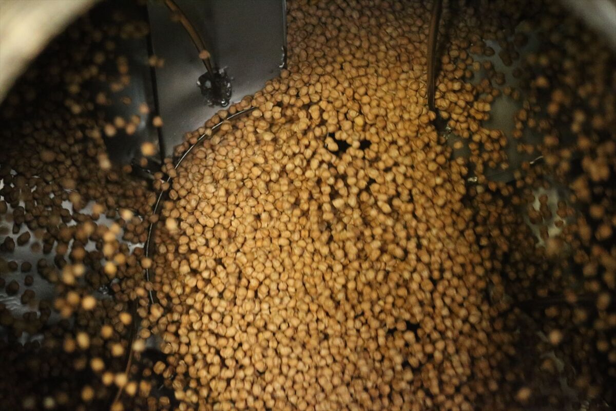 A A 20260429 41239561 41239548 B E S K U S A K T I R K A V U R D U K L A R I T A V S A N L I L E B L E B I S I N I O R T A D O G U V E A V R U P A Y A G O N D E R I Y O R L A R