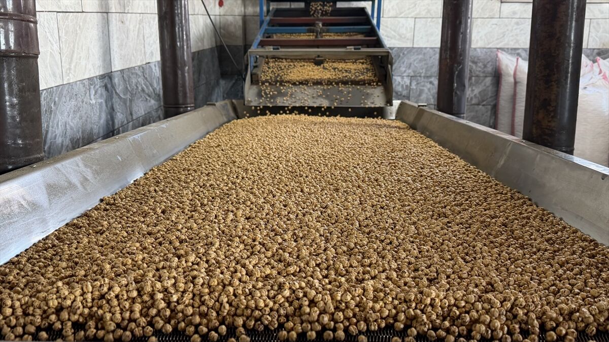 A A 20260429 41239561 41239550 B E S K U S A K T I R K A V U R D U K L A R I T A V S A N L I L E B L E B I S I N I O R T A D O G U V E A V R U P A Y A G O N D E R I Y O R L A R