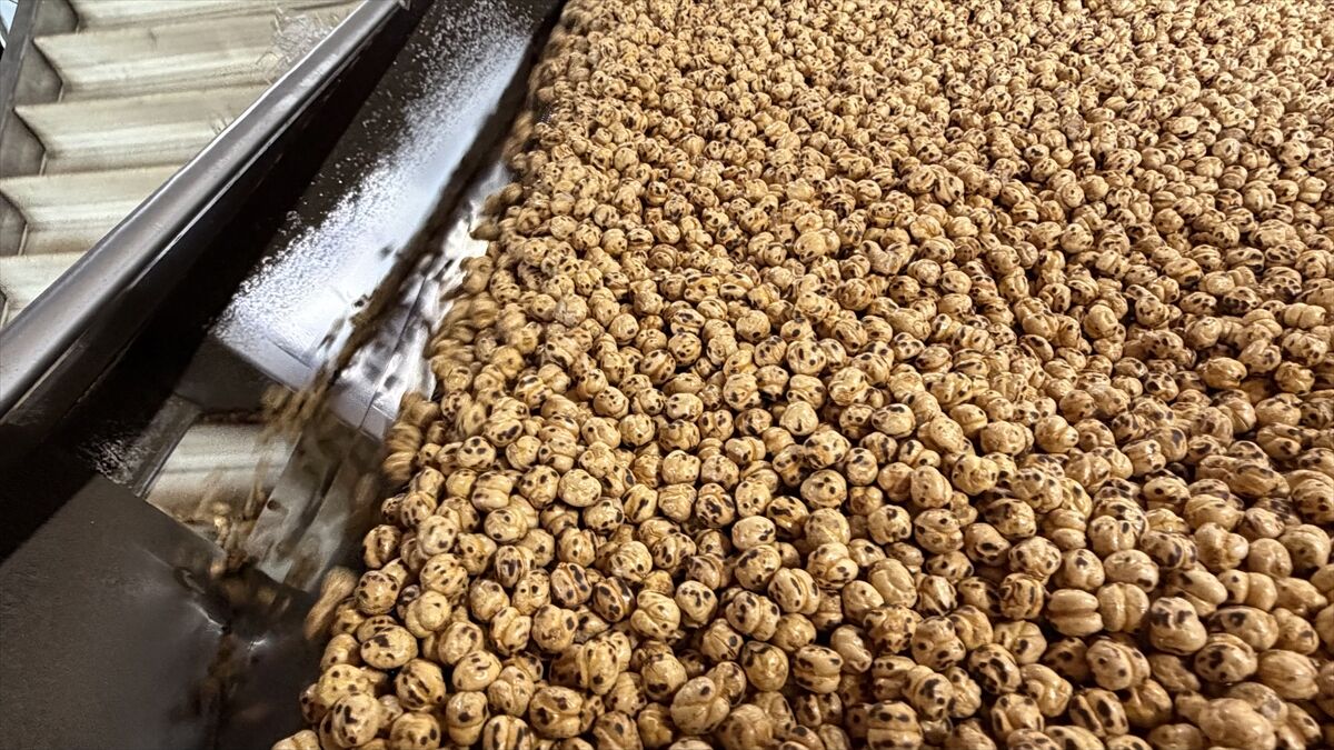 A A 20260429 41239561 41239553 B E S K U S A K T I R K A V U R D U K L A R I T A V S A N L I L E B L E B I S I N I O R T A D O G U V E A V R U P A Y A G O N D E R I Y O R L A R