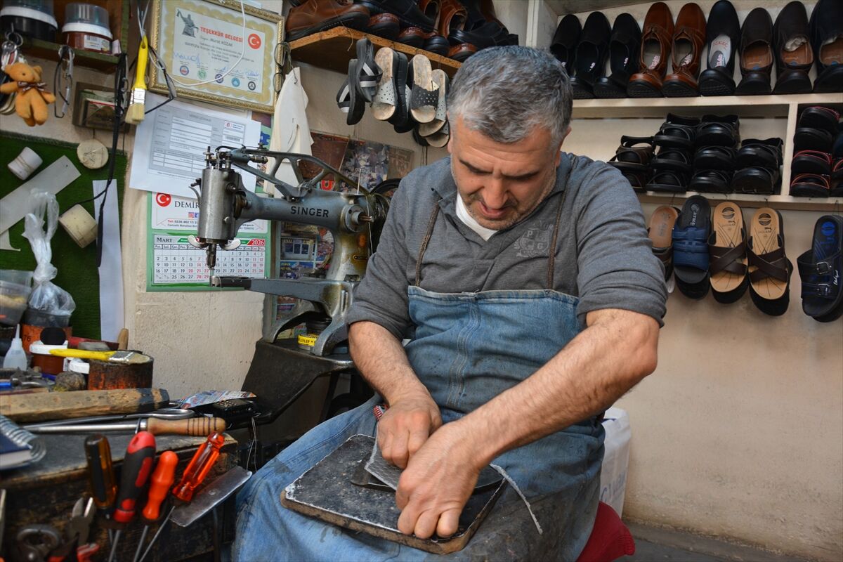 Pehlivan Kispet Dikimi Demirci (9)