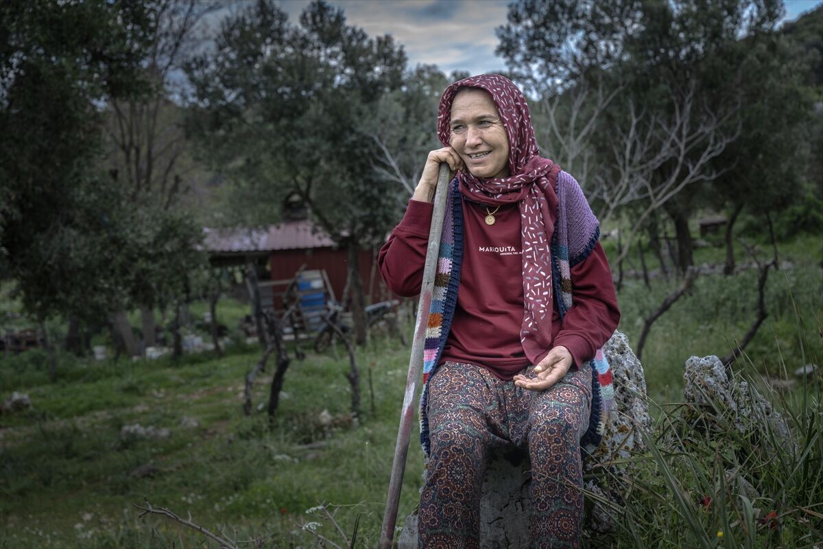 Çobanlar Denizli Göç Yolu Koyunlar Teknenin Içinde Duruyor (19)