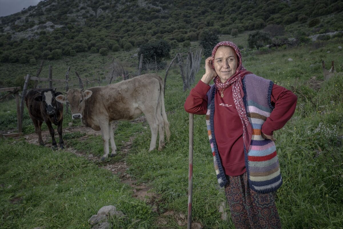 Çobanlar Denizli Göç Yolu Koyunlar Teknenin Içinde Duruyor (20)