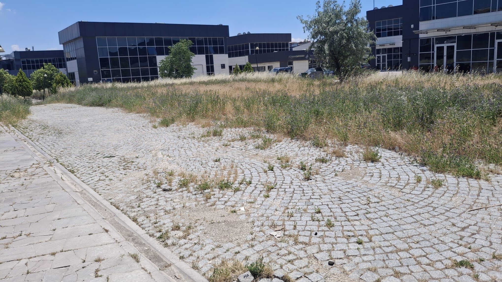 Kentsel Dönüşüm (3)