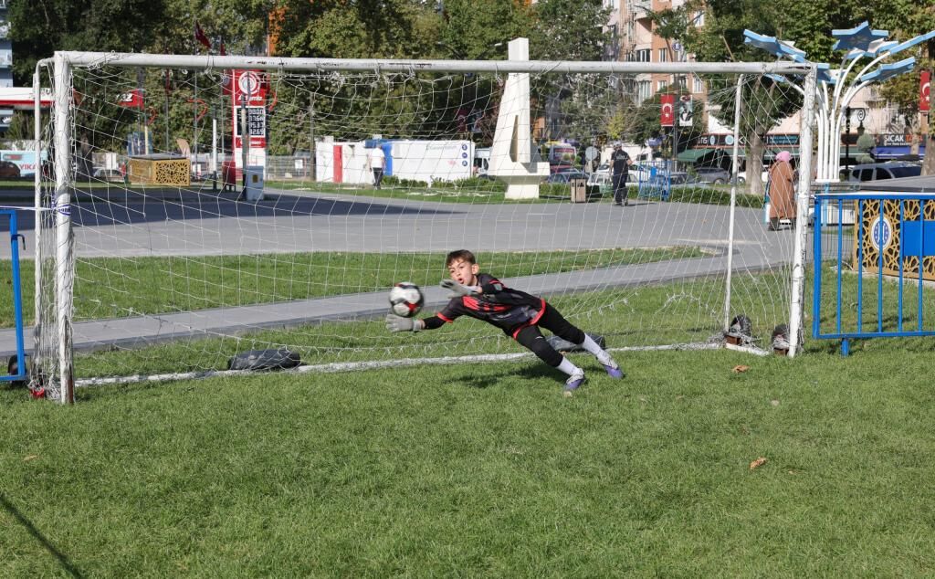 Spor