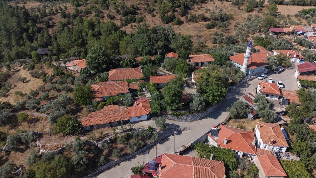 A A 20260820 42255127 42255117 M U G L A D A K E R I M O G L U T U R K U S U E V I N D E 125 Y I L L I K E F E H I K A Y E S I Y A S A T I L I Y O R