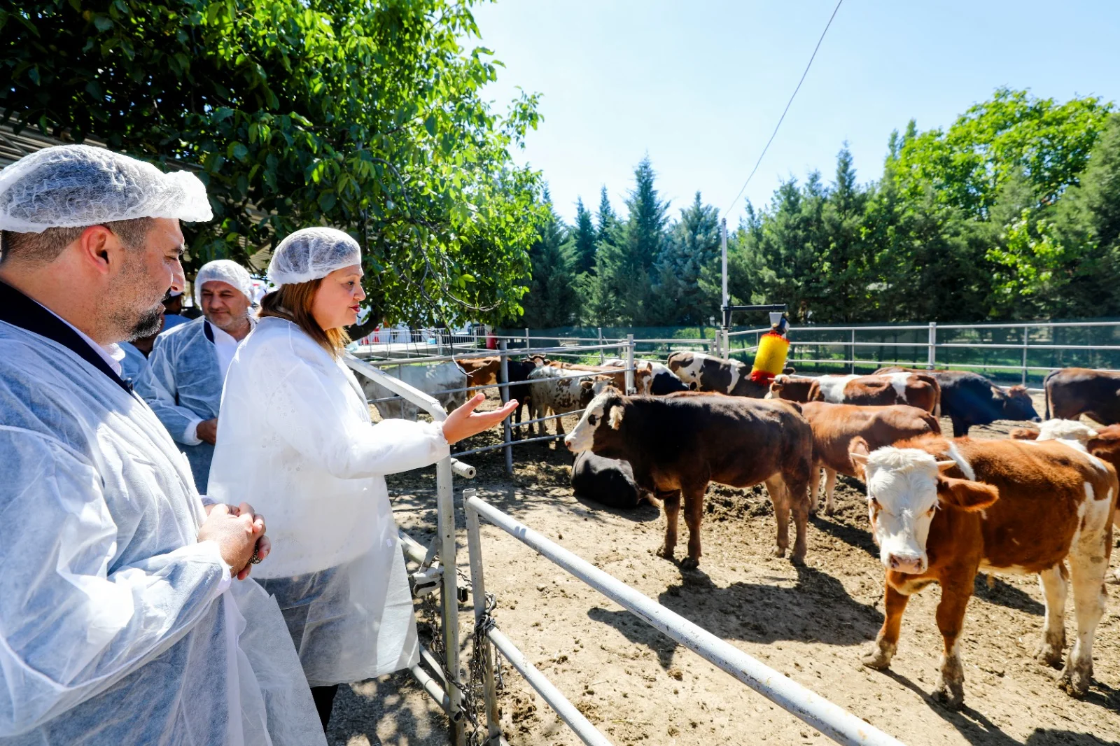 Afyon'da vatandaşa ucuz ve kaliteli gıda için çiftlik kuruldu