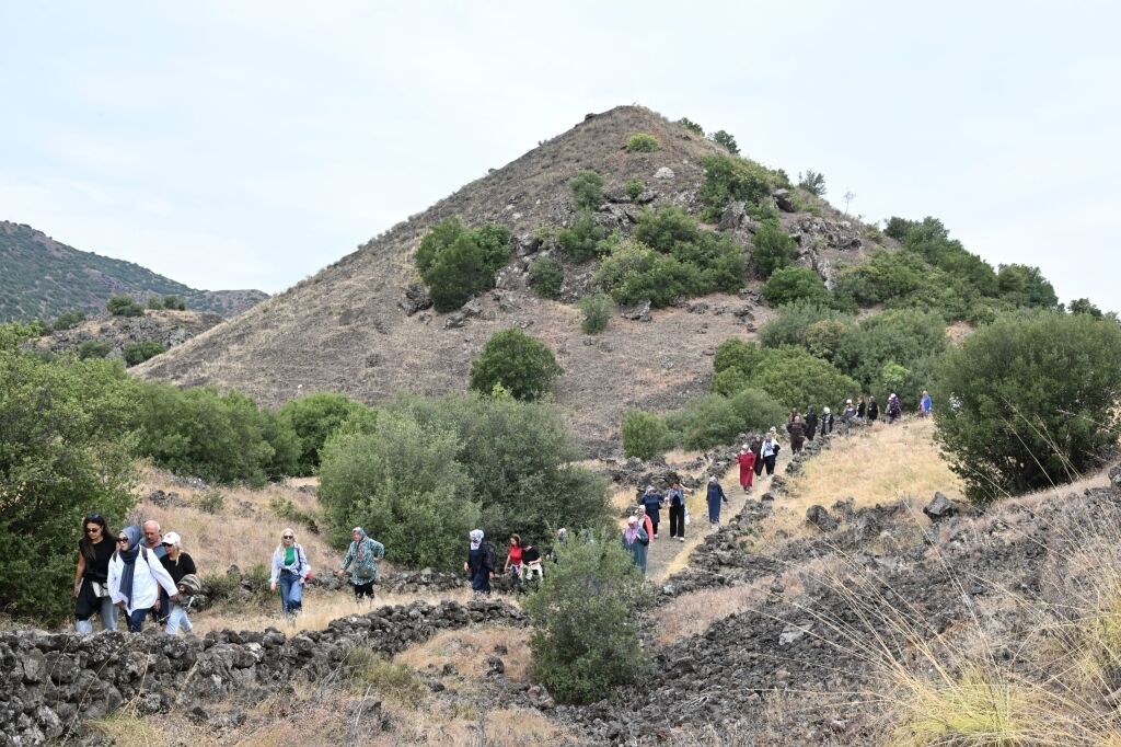 Yaşam